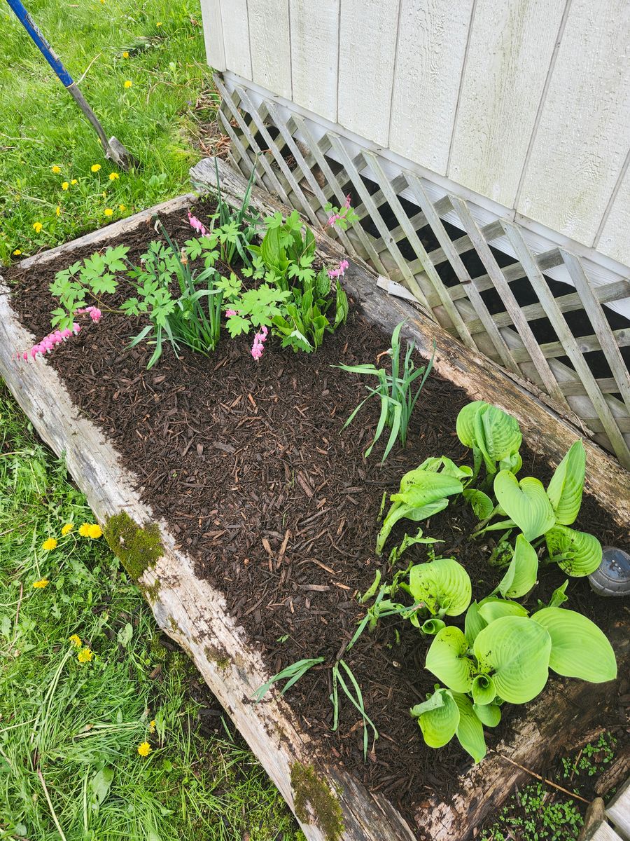 Landscape Installation for Landscape Innovations LLC in Torrington, CT