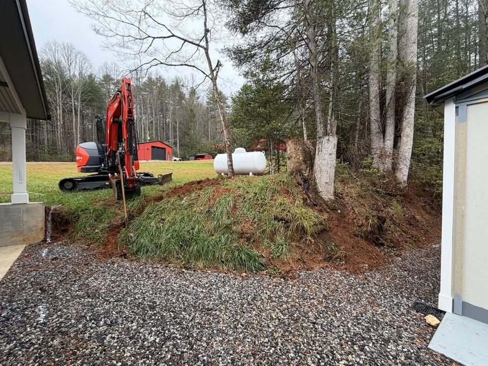 Tree Trimming for C & D Landscaping Services LLC in Blairsville, GA