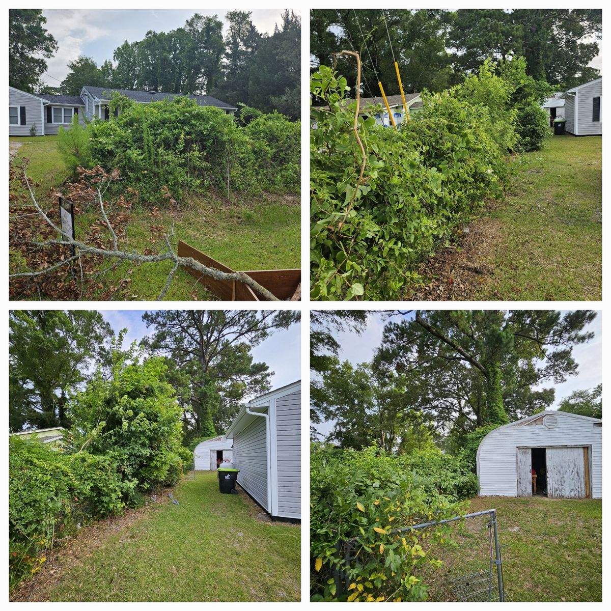 Brush Clearing for Heroy's Lawn Services in Jacksonville, North Carolina