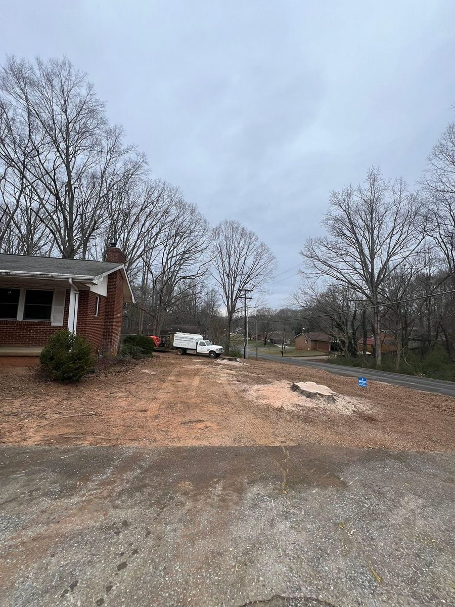 Tree Removal for Brooks Tree Service in Casar, NC