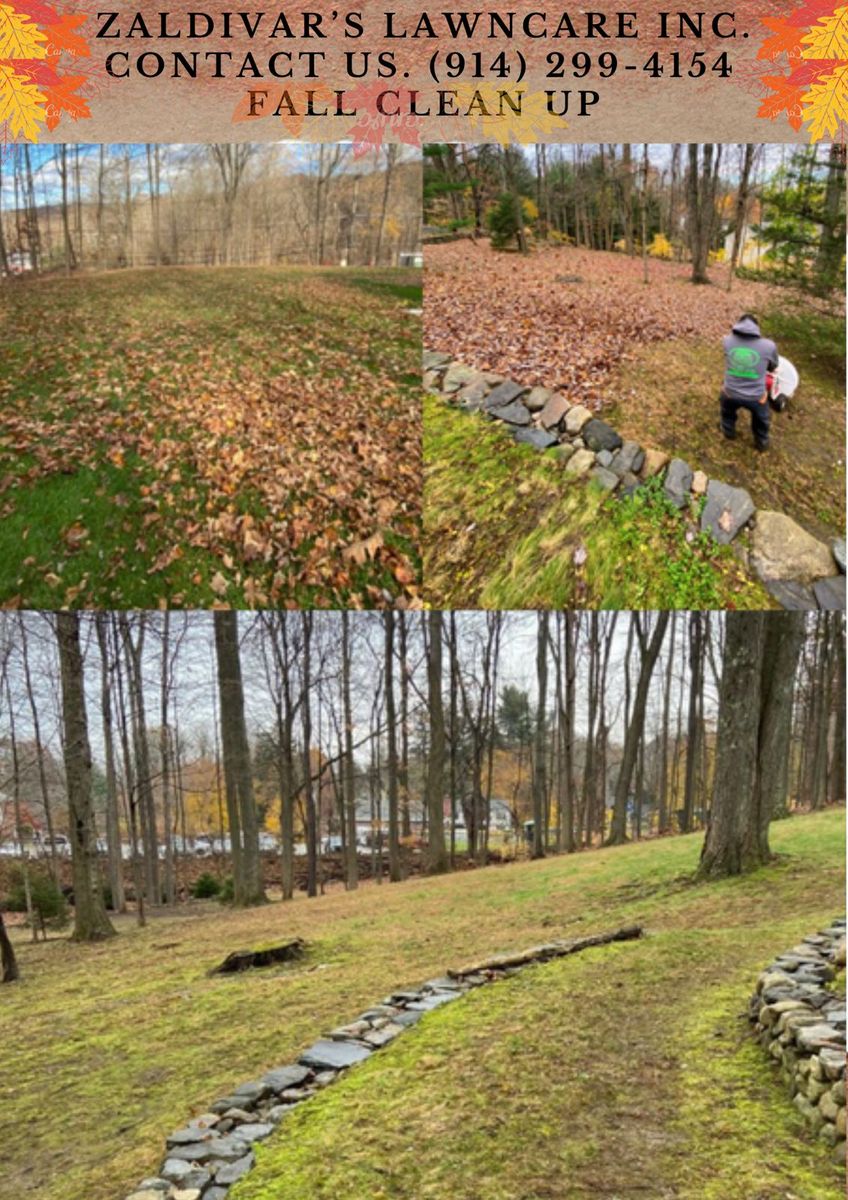 Fall Clean Up for Zaldivar’s Lawn Care INC  in Peekskill, NY