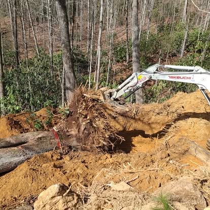 Tree Removal for Lopez Landscaping and Tree Service  in Waynesville, NC