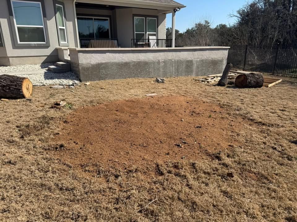 Tree Removal for Oakley’s Stump ‘N Grind in Leander, TX