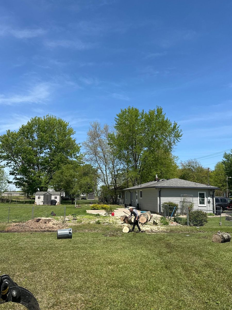 Tree Removal for Anstaetts Tree Service in Batavia, OH