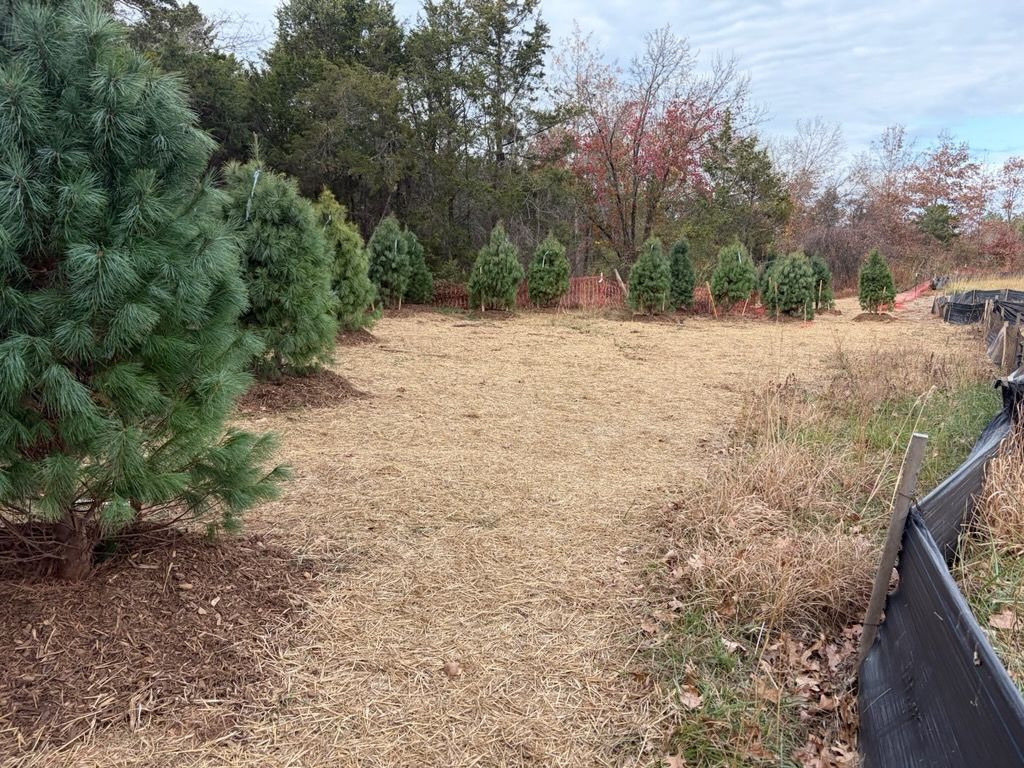 Landscaping for 9999 Building and Renovation LLC in Warrenton, VA