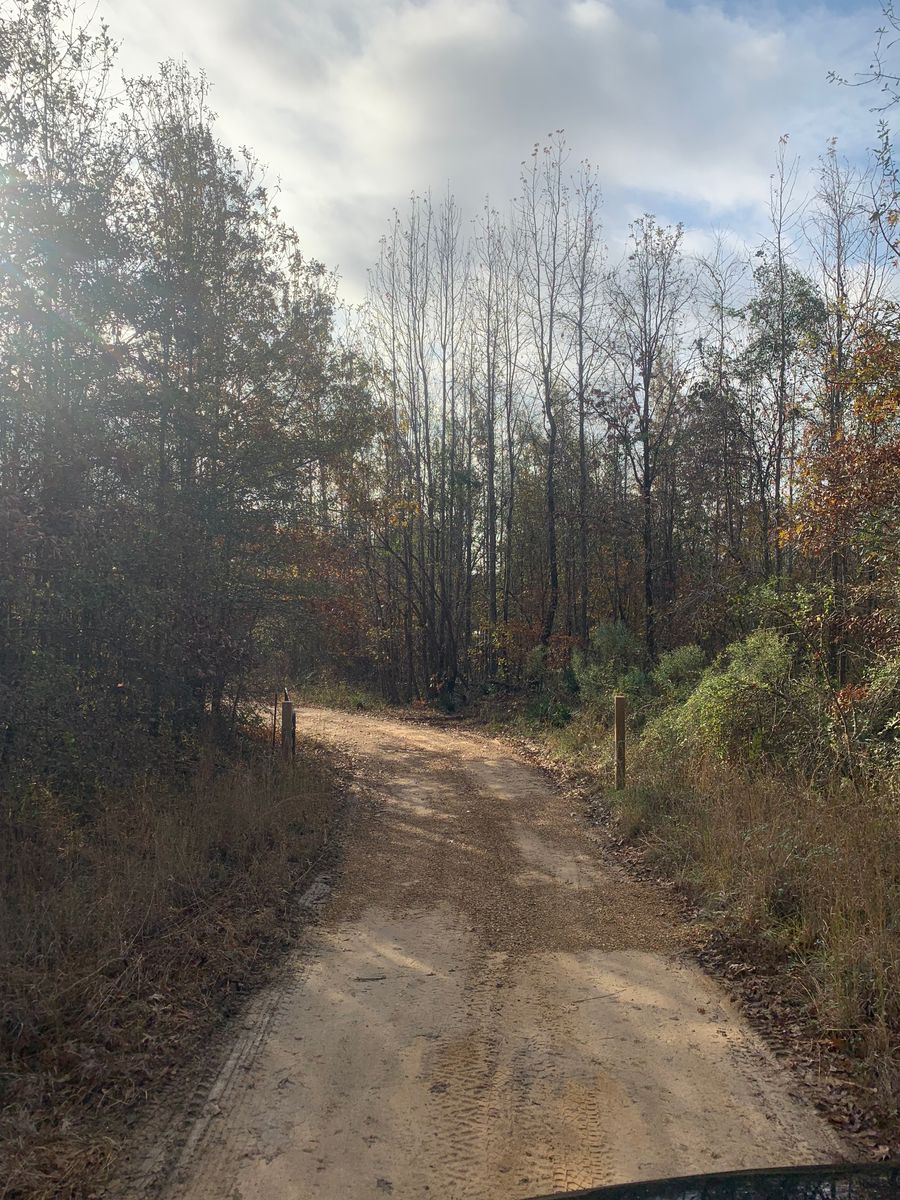 Land Clearing and Demolition for Polasini Land Development in Starkville, MS
