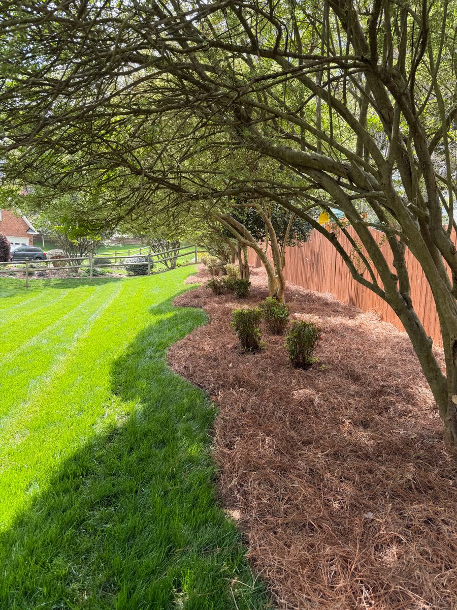 Mulching and pine needling for Holloway Yard Company in Winston-Salem, NC