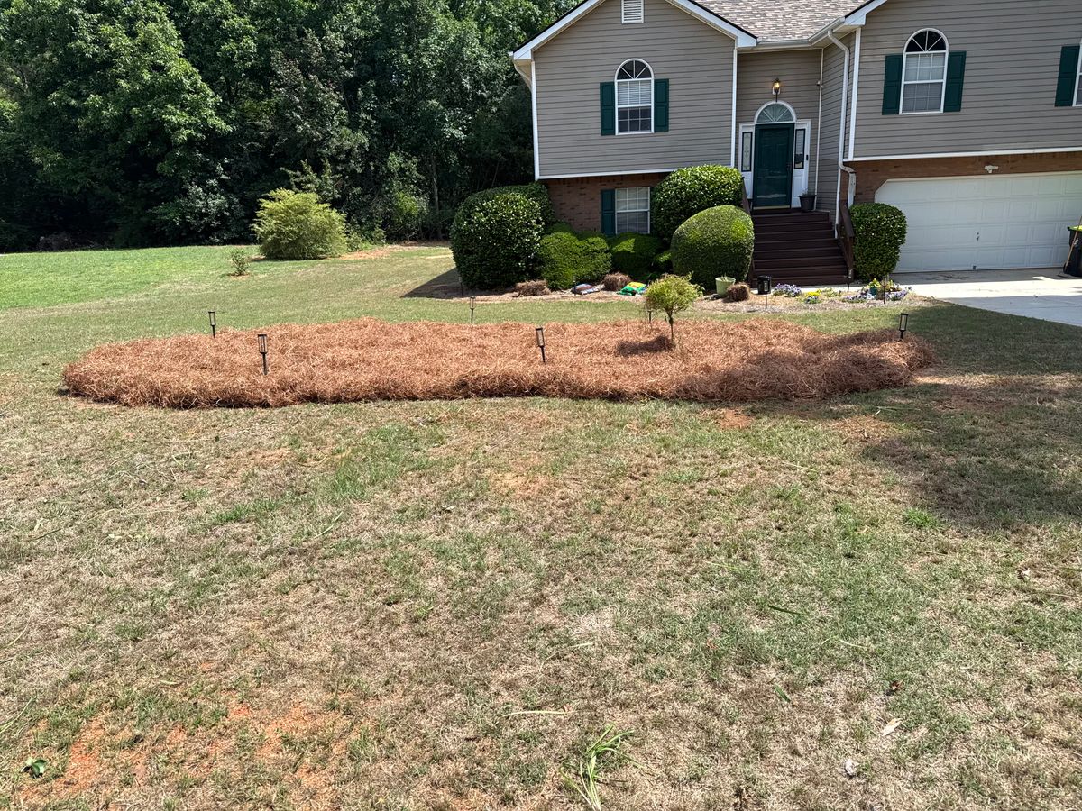 Pine straw installation for Prime Lawn LLC in Conyers, GA