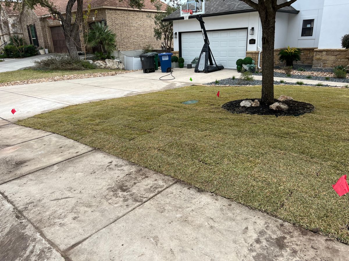 Mulch Installation for DR Landscape in San Antonio, TX