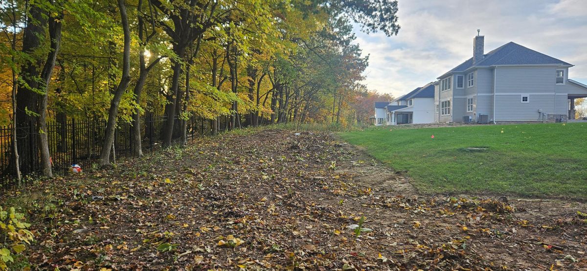 Tree Removal for Highborn Tree Service in Wheatfield, IN