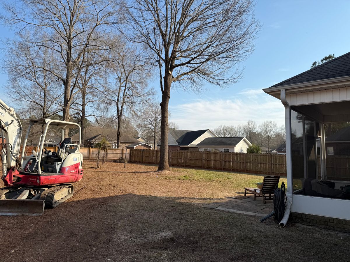 Tree Removal for T N L - Tree and Land Service in Reynolds, GA