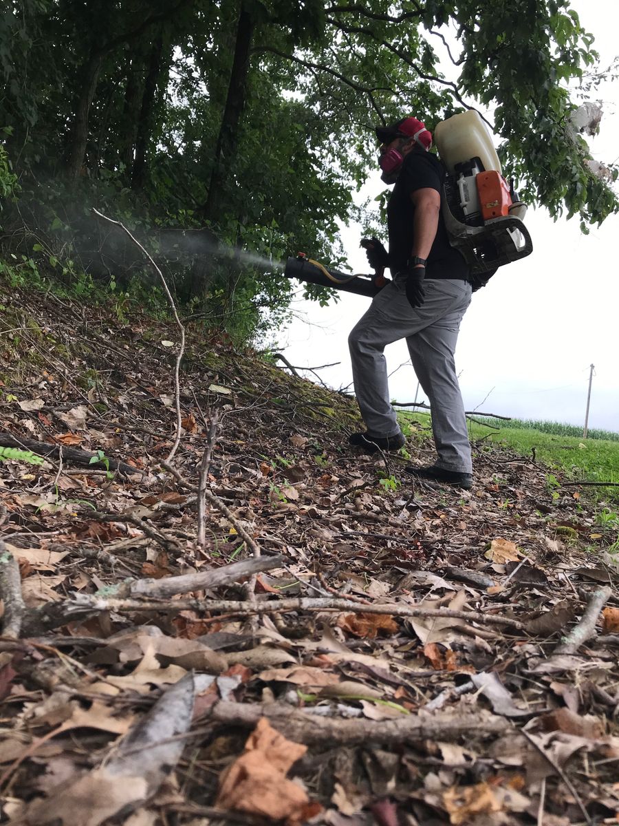 Mosquito Control for All-In Pest Control & Home Solutions in Greene County, IN