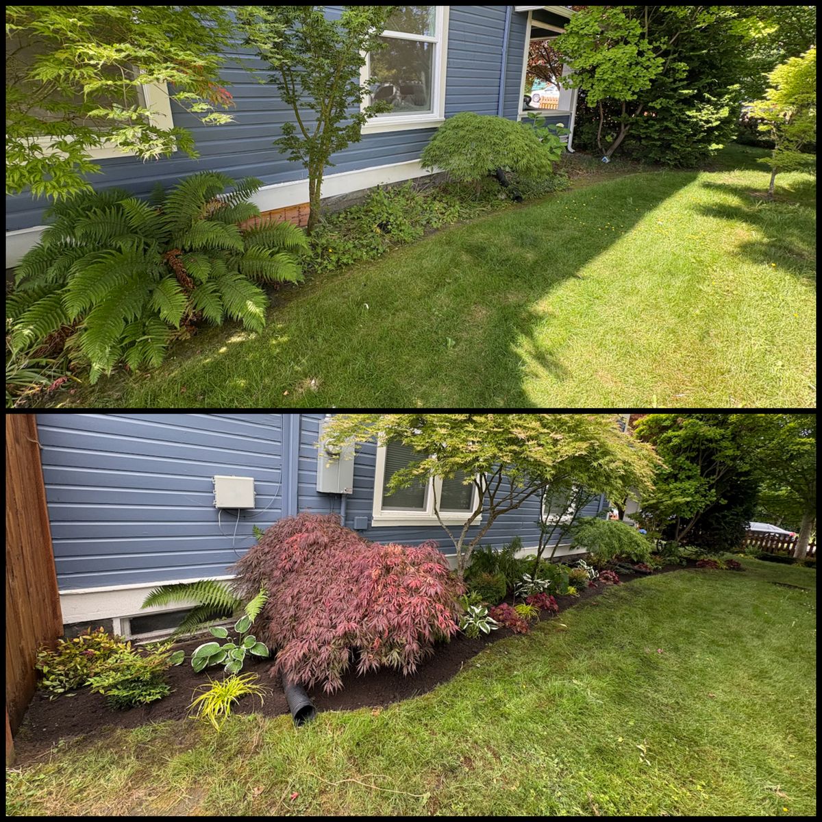 Property Clean-Up for Golovin Property Services LLC in Marysville, WA