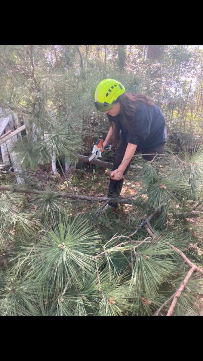 Tree Trimming for The Tree Surgeon in Carthage, TX