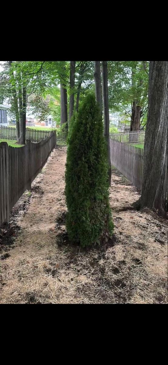 Shrub Trimming for Mow N Maintain Property Maintenance in Williston, VT