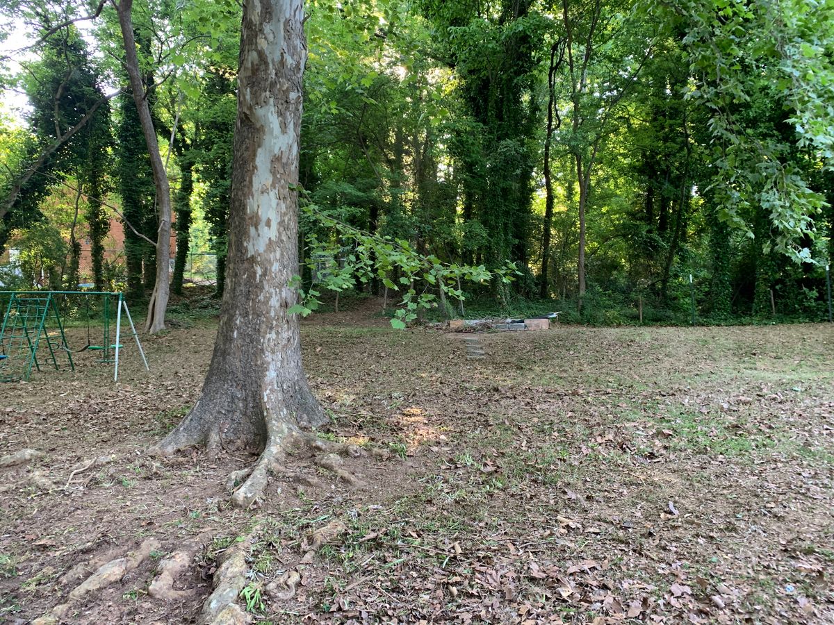 Yard Clean-ups for Clark's Cuts Lawn Care in Lilburn, GA