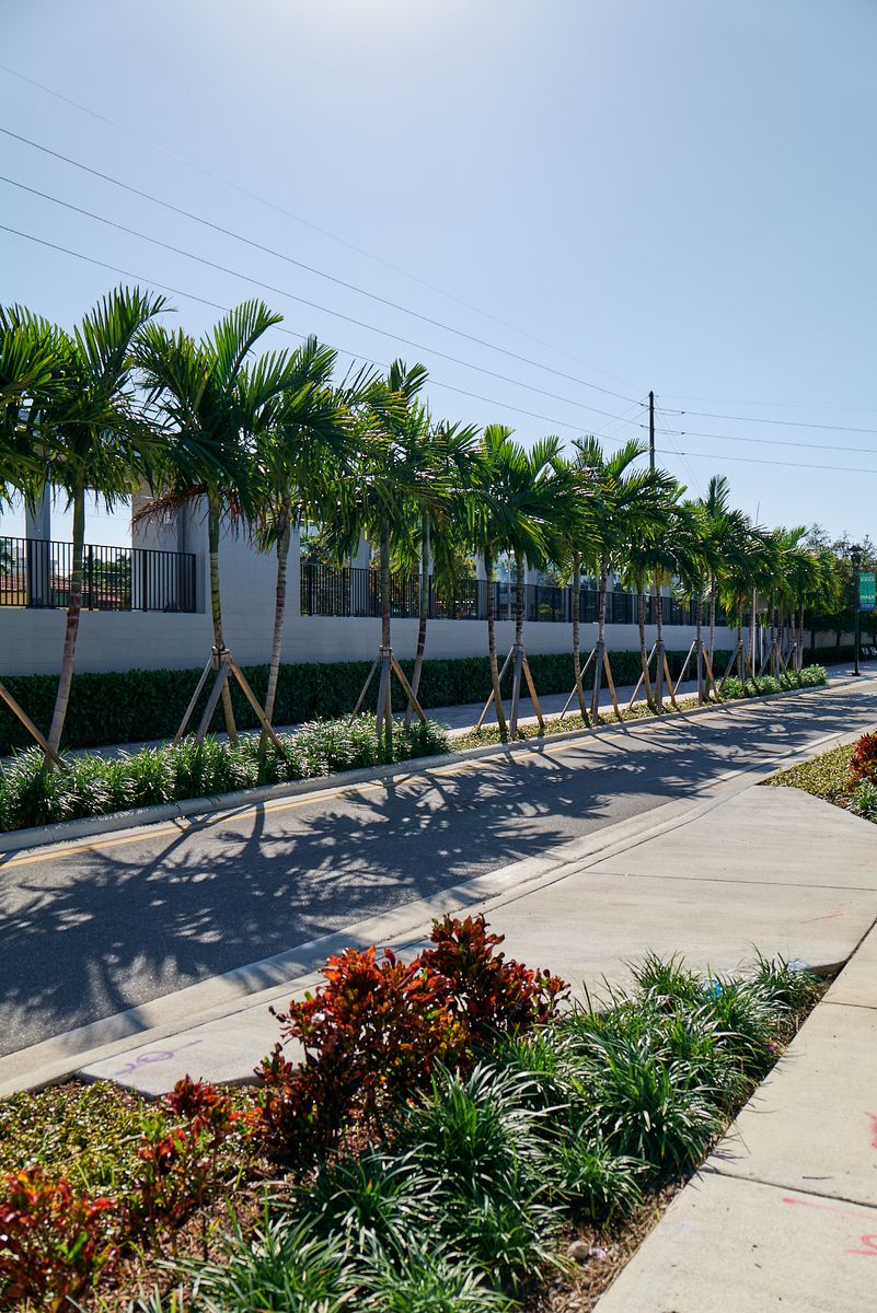 Landscaping for Arazoza Brothers Corporation in Miami, FL
