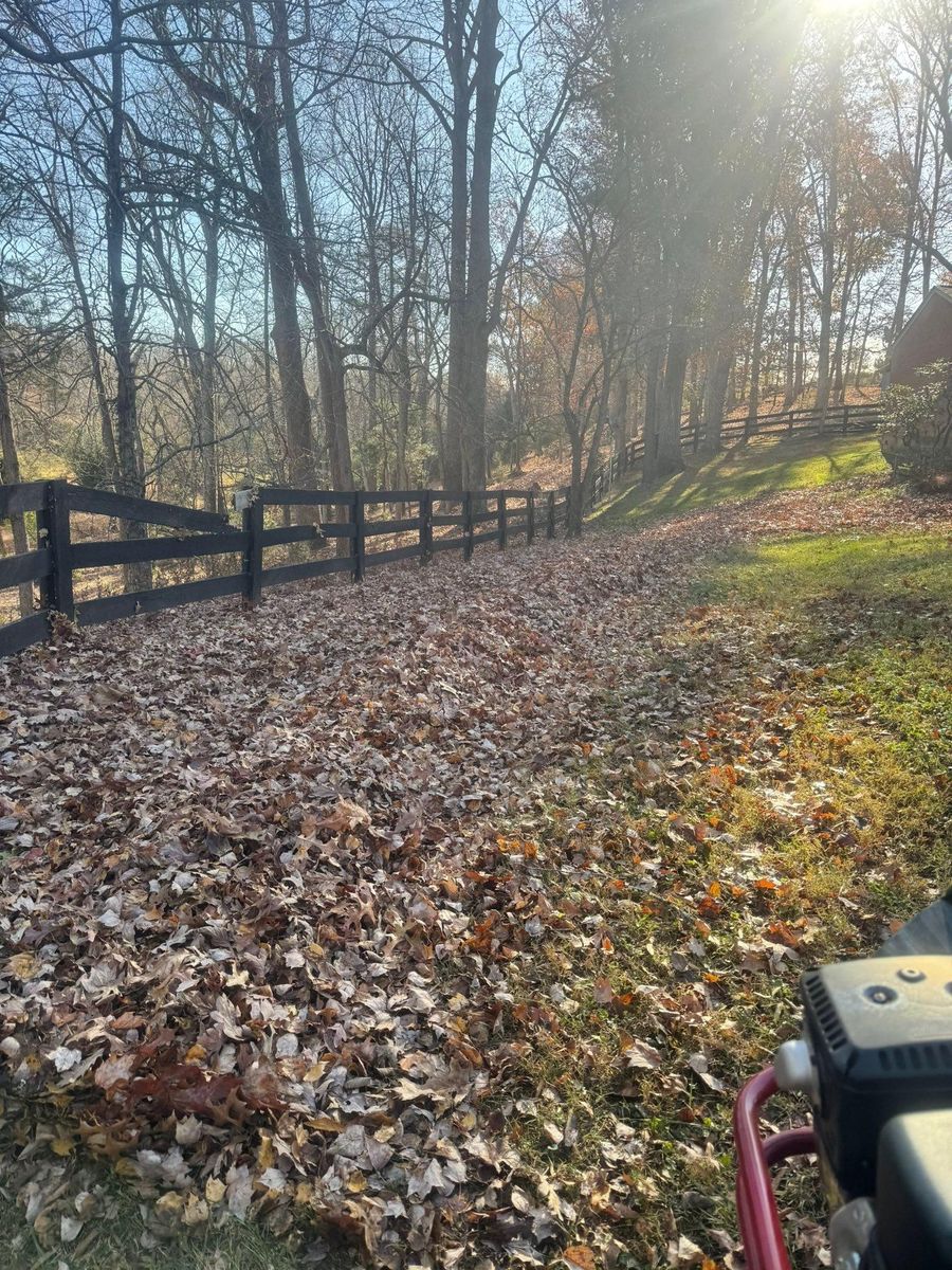 Property Maintenance for Chiles Lawn & Landscaping in Gordonsville, VA