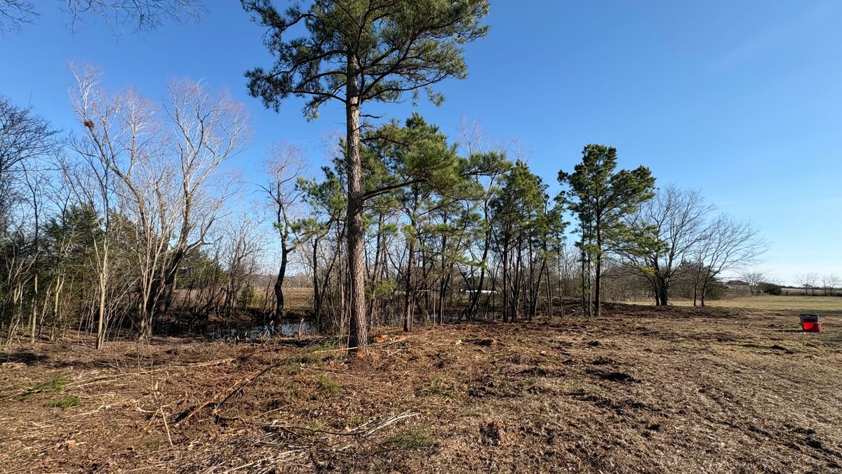 Forestry Mulching for Landers Ranch Services in Grimes County, TX