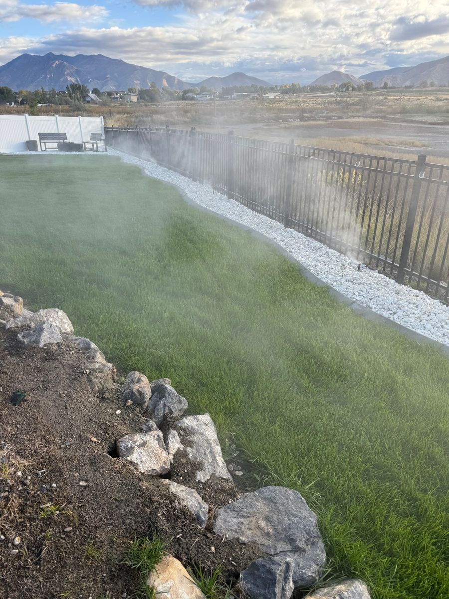 Weed Control for Platinum Lawn Service in Santaquin, UT