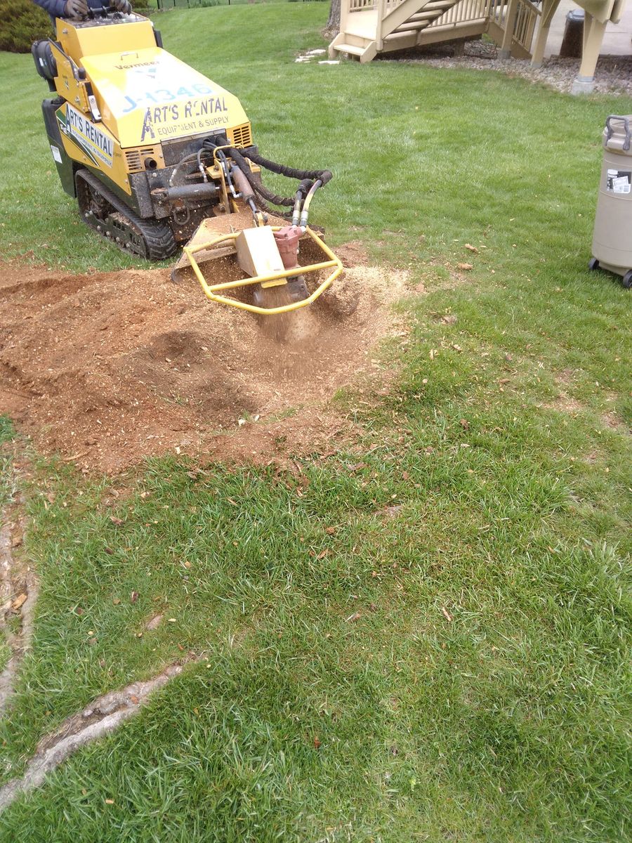 Stump Removal for Kingdom Tree Trimming and Removal LLC in Covington, KY