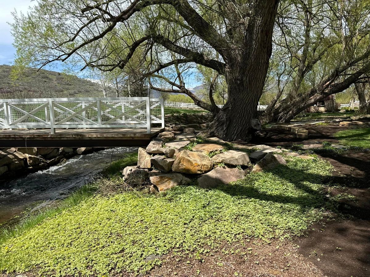 Landscaping Installation & Maintenance for Utah County Property Maintenance in Provo, UT