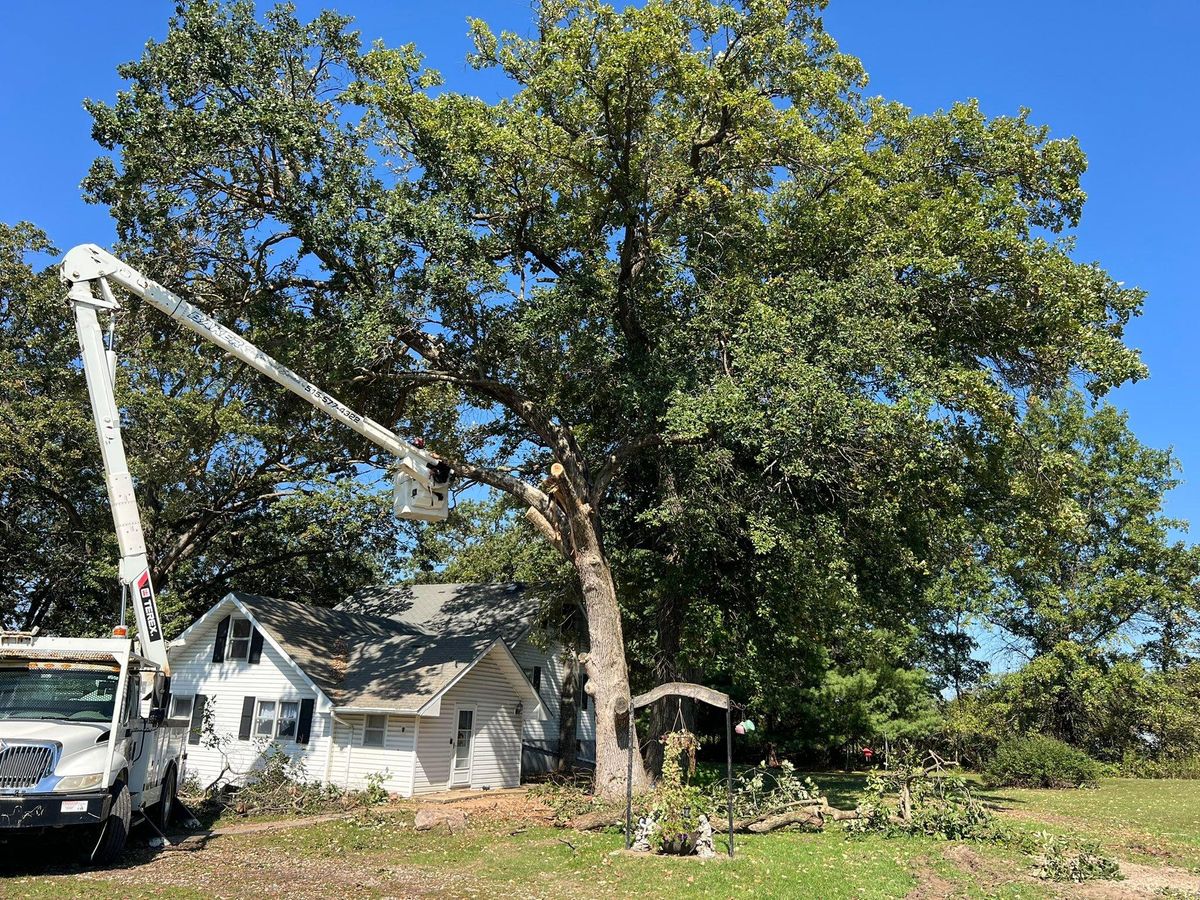 Property Clean Up for Baker Professional Services LLC in Shelbina, MO