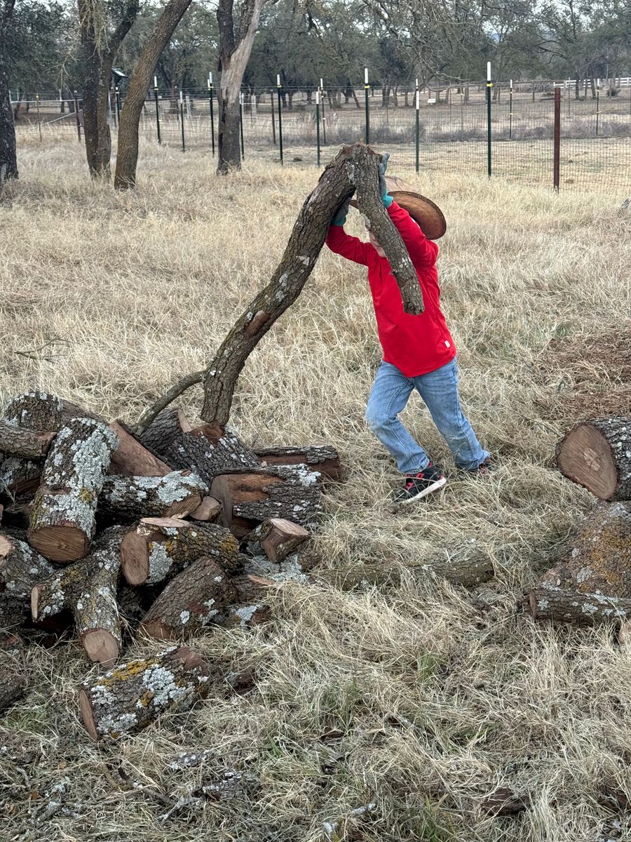 Emergency Debris Removal for Oakley’s Stump ‘N Grind in Leander, TX
