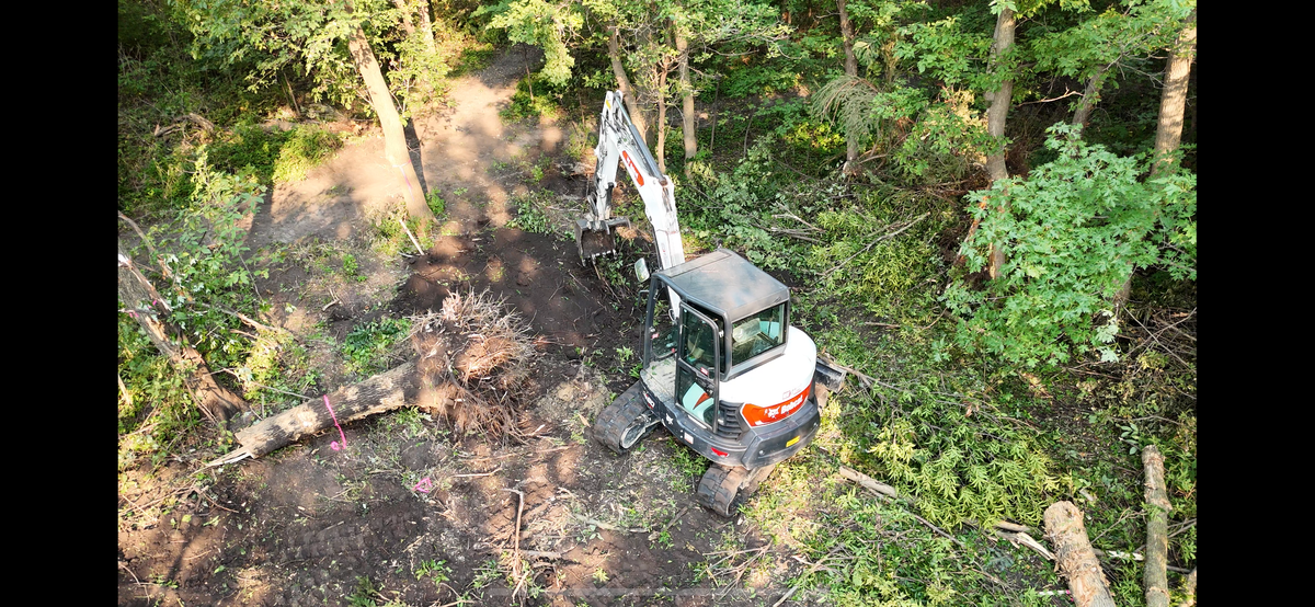 Land clearing for NXT LVL Excavating in New London, MN