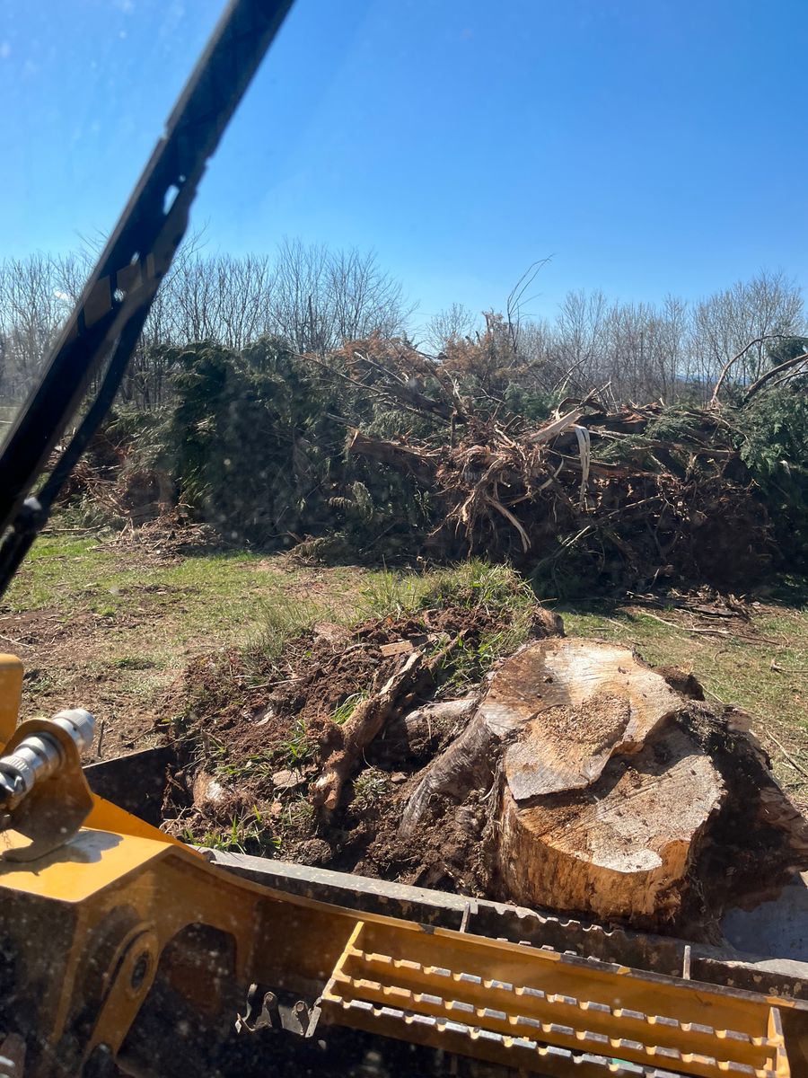 Land Clearing for Schrock’s Land Management in Northern Virginia, Shenandoah Valley, VA