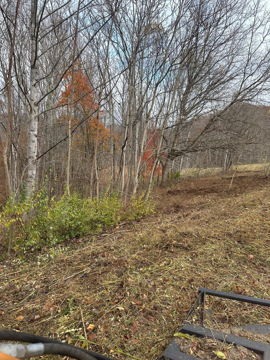 Site Preparation for Excavation Innovations in Rogersville, TN