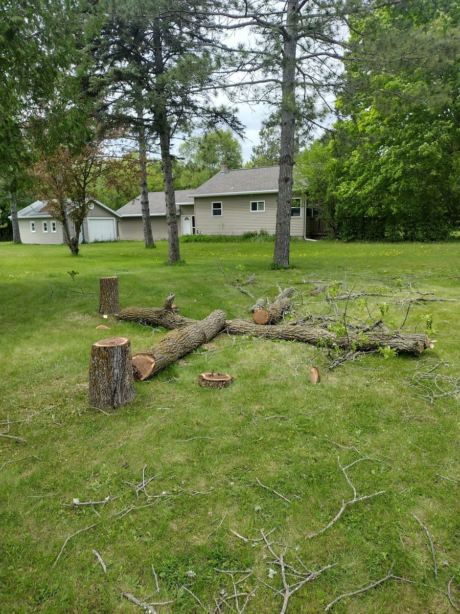 High Risk Removals  for Dan's tree service in Bemidji, MN