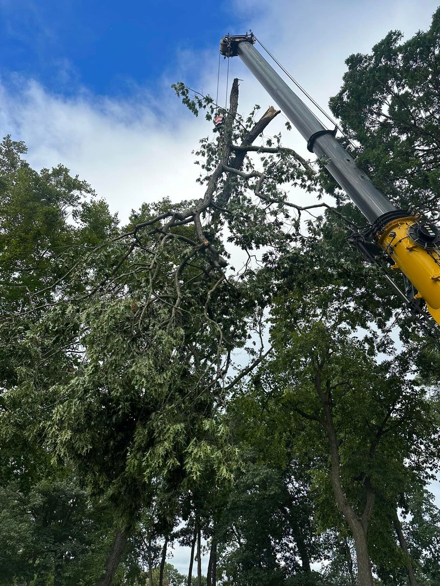 Tree Trimming for DGD Outdoor Services LLC in Howell, MI