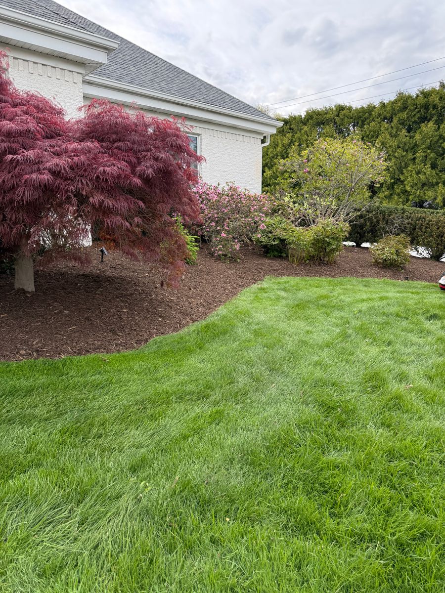 Mulch Installation for Mulch & Dig in West Bloomfield Township, MI