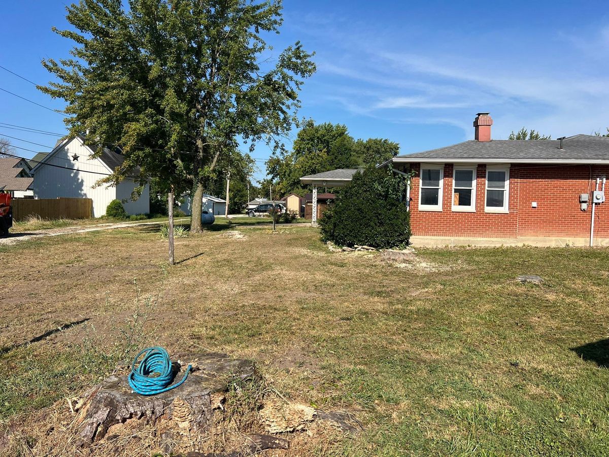 Stump Grinding for Baker Professional Services LLC in Shelbina, MO