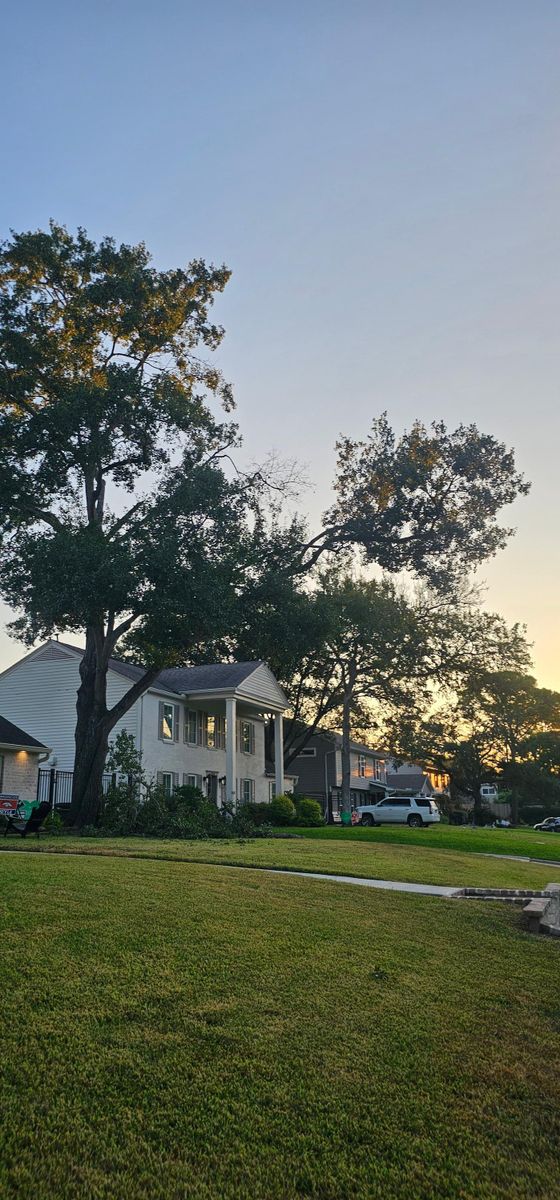 Fall Clean Up for Servin's Tree Care  in Houston, TX