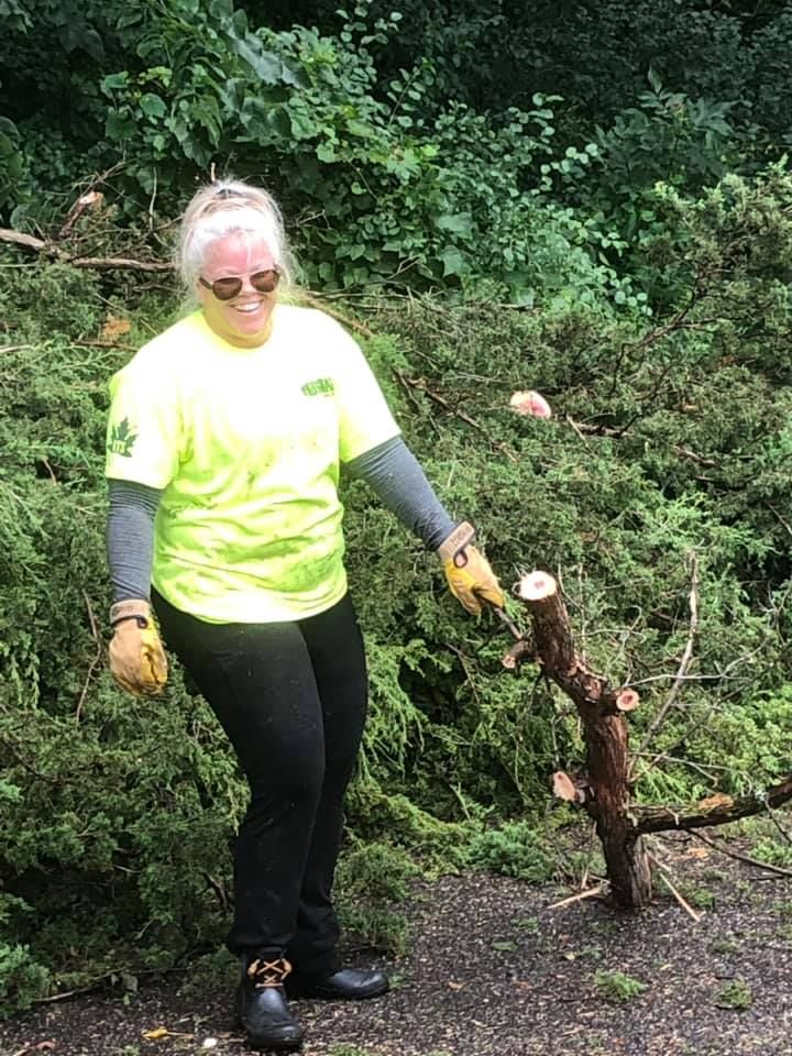 Stump Removal for Allstate Tree Service in Fridley, MN