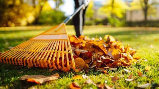 Fall Clean Up for HillyGoat Lawn Care in Provo, UT