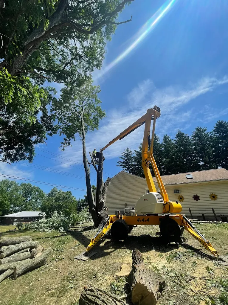 Tree Removal for Mays Tree and Stump Removal in Alden, NY