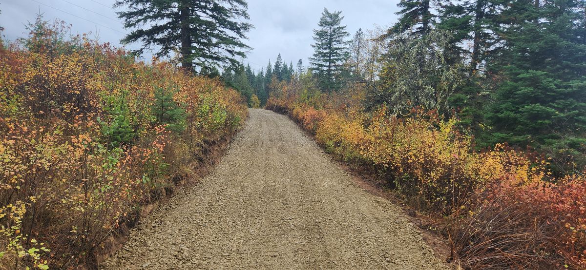 Land Clearing & Demolition for Weingart Enterprises in Newman Lake, WA