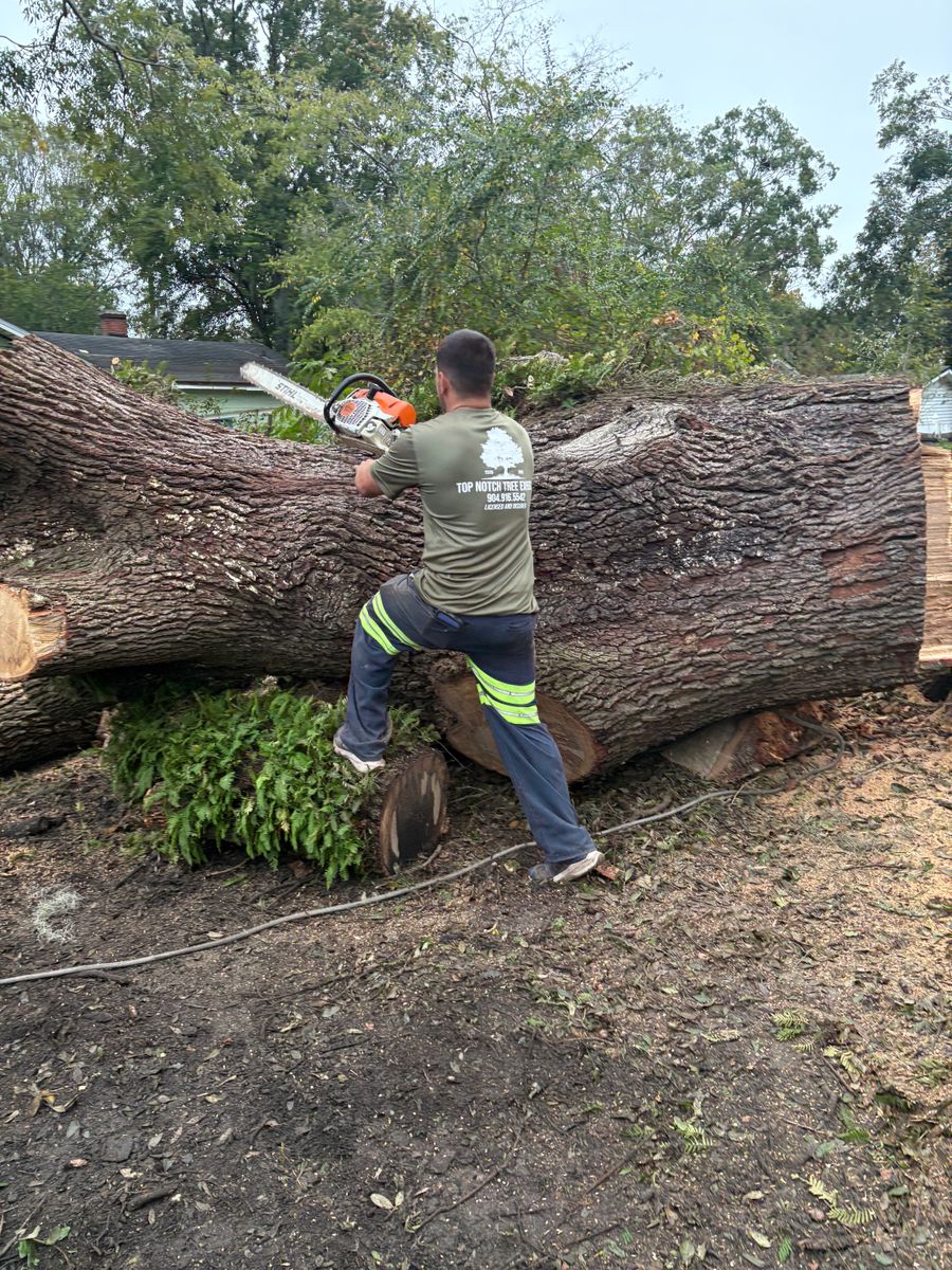 Fall Clean Up for Top Notch Tree Experts in Orange Park, FL