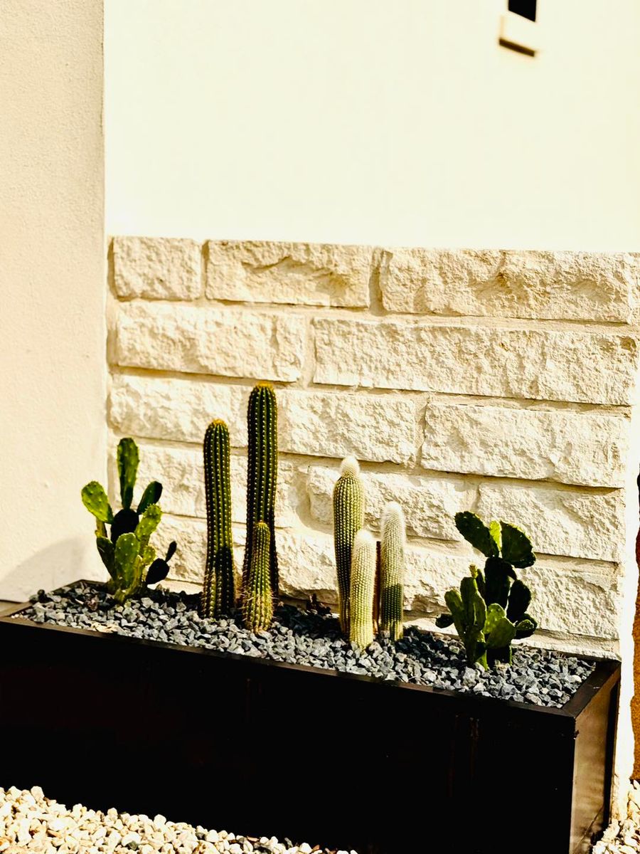 Landscape Design for N. B. Fence & Landscape in New Braunfels, TX