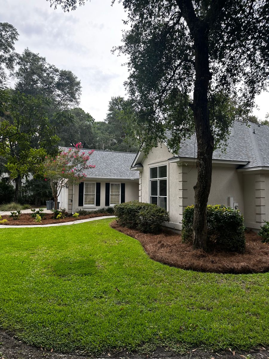 Pine Straw Installation for Coastalscapes Landscaping & Turf Management  in Savannah, GA