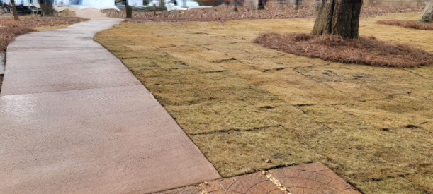 Cart Paths for D&D Unlimited Landscaping in Hartwell, GA