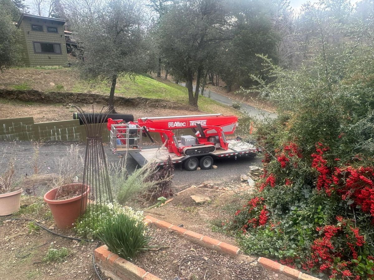 Tree Services for The Tree Fairy in Julian, CA