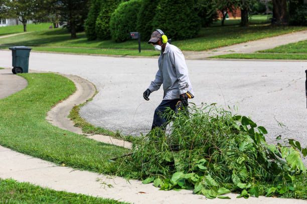 Debris & Junk Hauling Services for New Beginning Landscape & Remodel LLC in Atlanta, GA