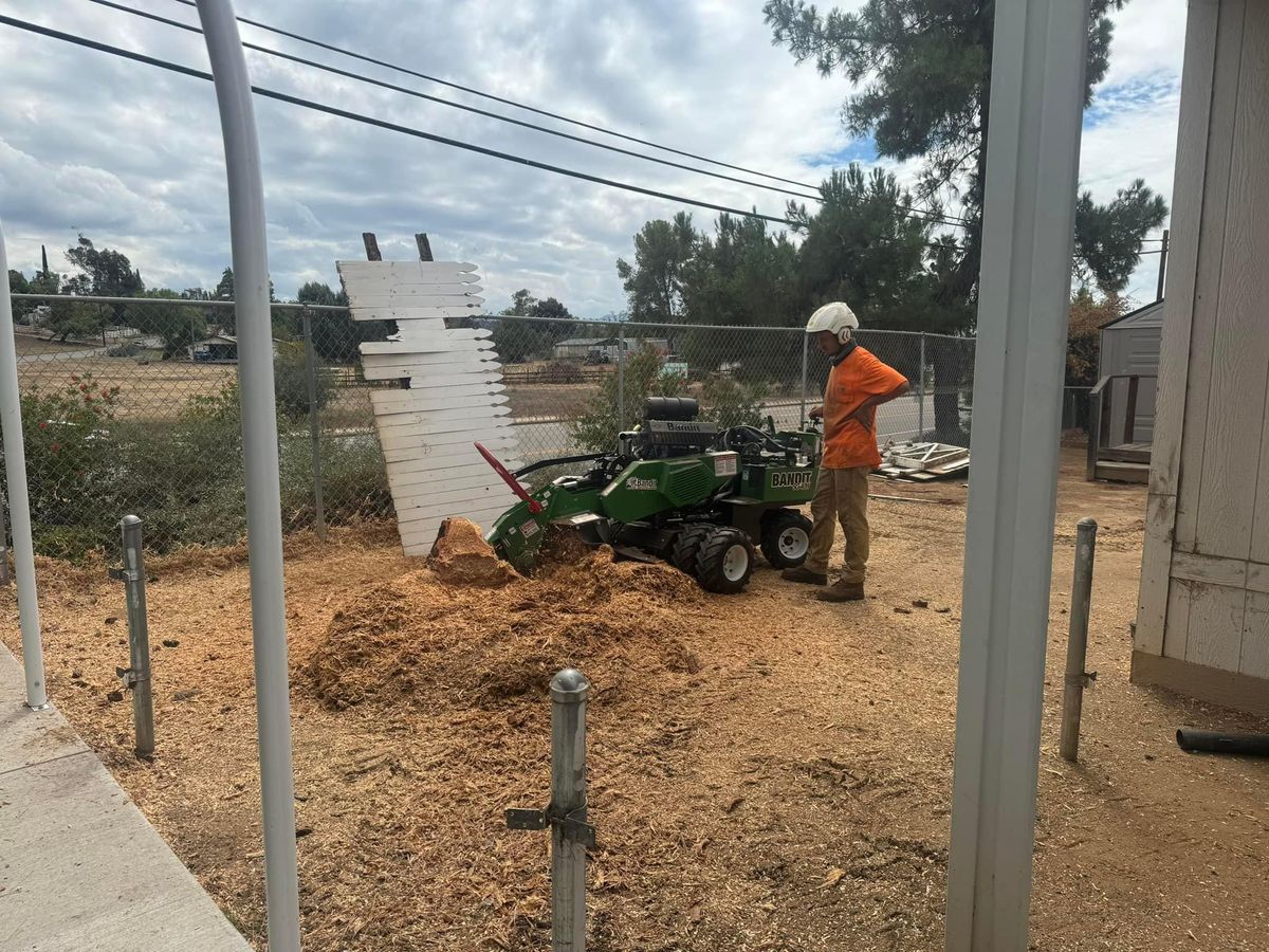 Property Beautification for The Tree Fairy in Temecula, CA