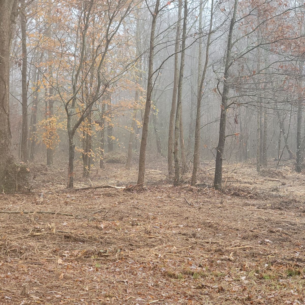 Excavation and repair services for Z's Land Management & Forestry Mulching in Smithville, TN