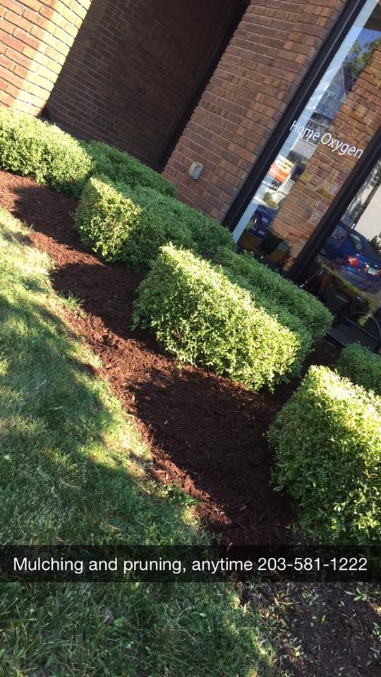 Landscaping Design for Matty L's Lawn and Tree Care in Monroe, CT