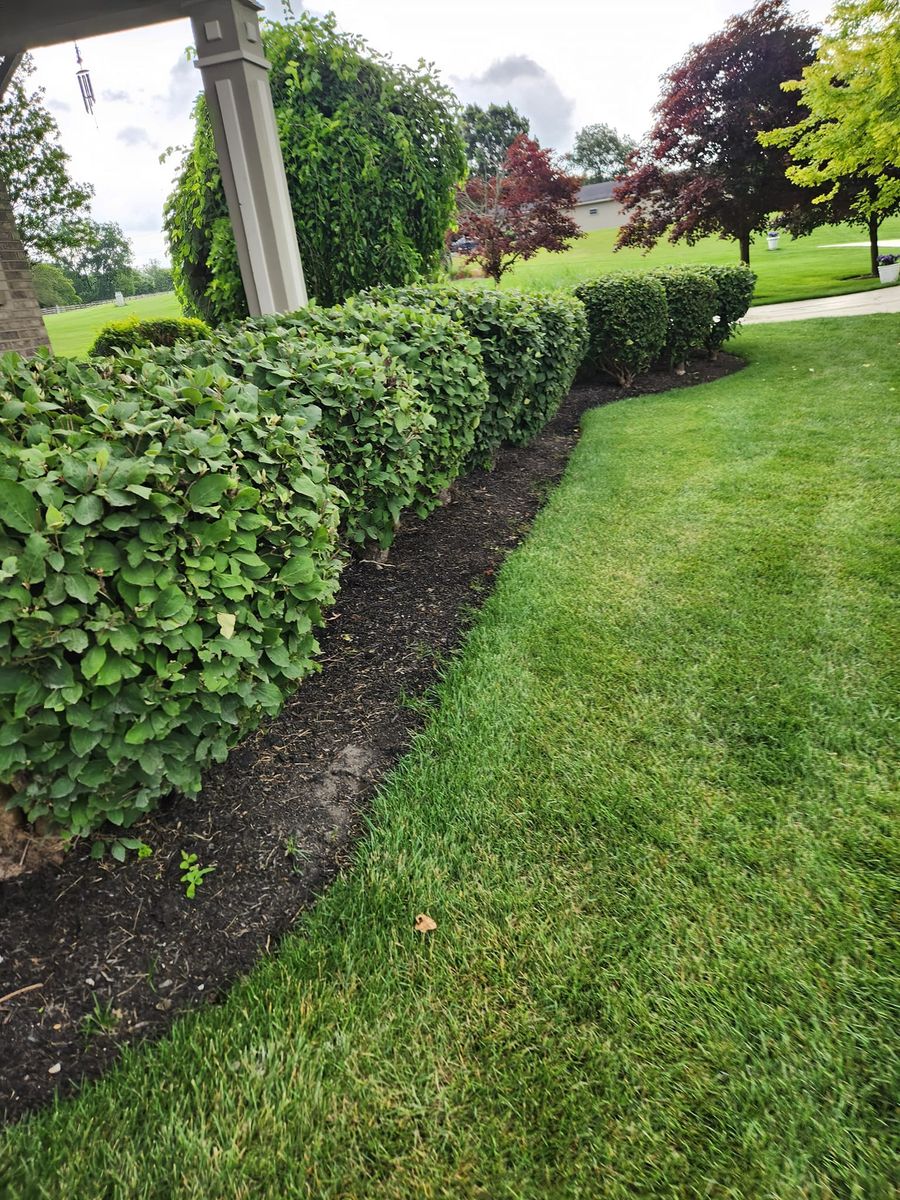 Shrub Trimming for Tel Ma Landscaping Maintenance LLC  in Urbana, OH